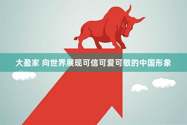 大盈家 向世界展现可信可爱可敬的中国形象