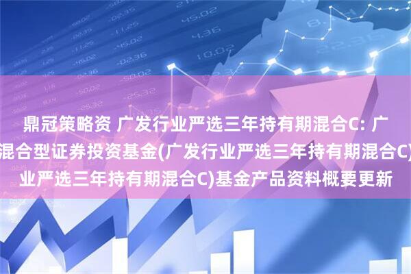 鼎冠策略资 广发行业严选三年持有期混合C: 广发行业严选三年持有期混合型证券投资基金(广发行业严选三年持有期混合C)基金产品资料概要更新