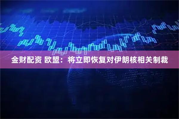金财配资 欧盟：将立即恢复对伊朗核相关制裁