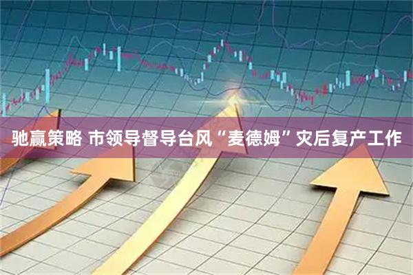 驰赢策略 市领导督导台风“麦德姆”灾后复产工作