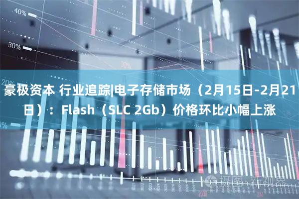 豪极资本 行业追踪|电子存储市场(2月15日-2月21日):Flash(SLC 2Gb)价格环比小幅上涨