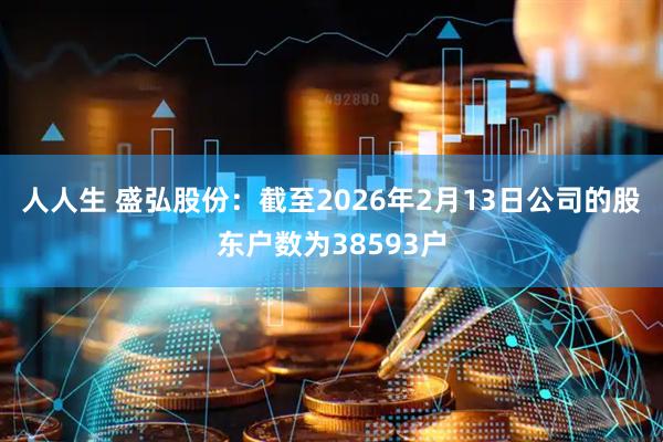 人人生 盛弘股份：截至2026年2月13日公司的股东户数为38593户